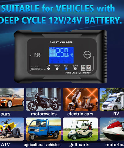 25 Amp Lithium Battery Charger, 12V and 24V Lifepo4,Lead-Acid(AGM/Gel/SLA..) Battery Charger ,Battery Maintainer, Trickle Charger, and Battery Desulfator for Car ,Boat,Motorcycle, Lawn Mower